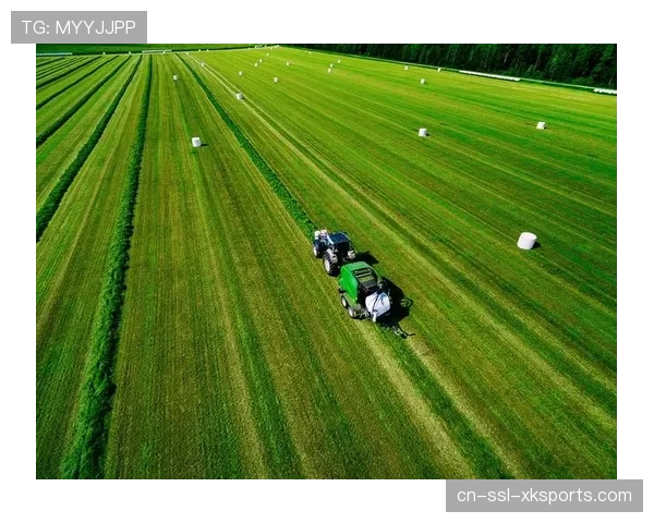 草皮科技：一家英国公司如何为英超20强中的15家提供智能草坪养护系统